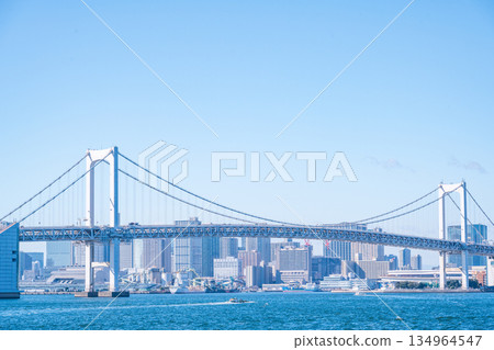 TOKYO, JAPAN - 29, JAN. 2025 : cityscape of Tokyo skyline with Tokyo tower and rainbow bridge at daytime in Japan 134964547