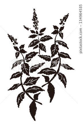 monochrome, monochromatic, vector 134964585