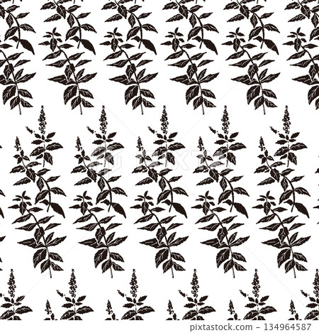 黑白的 黑白 單色 134964587