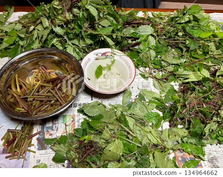 為Mizu準備野生蔬菜 為Mizu準備野生蔬菜 134964662