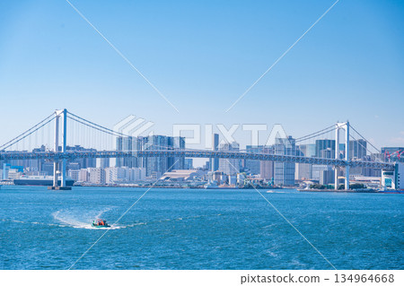 TOKYO, JAPAN - 29, JAN. 2025 : cityscape of Tokyo skyline with Tokyo tower and rainbow bridge at daytime in Japan 134964668