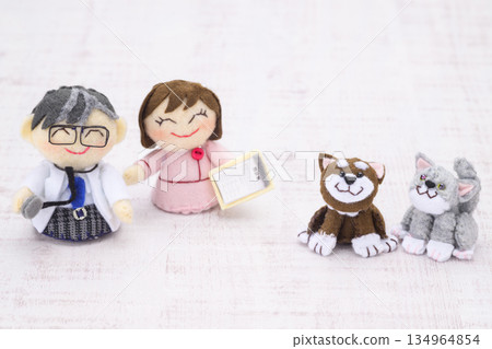 Veterinary doctor and cat and dog dolls 134964854