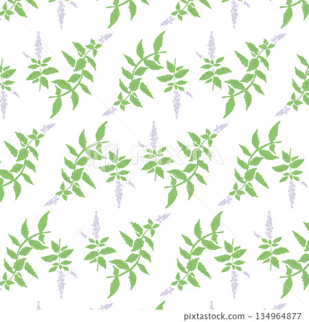 矢量圖 一套 荷蘭薄荷 134964877