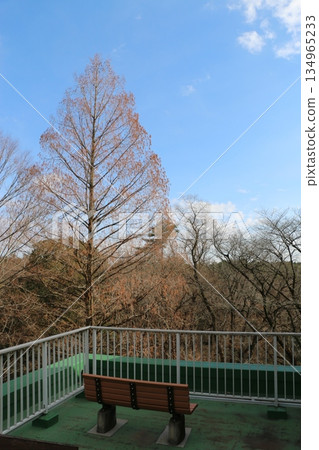  Forest park 134965233