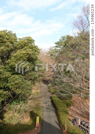  Forest park 134965234