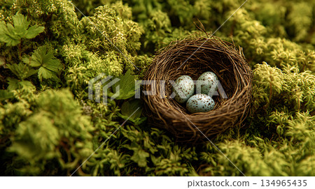 鳥巢、鳥蛋、苔蘚、大自然、生命 134965435