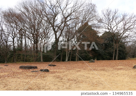 Forest park Forest park 134965535