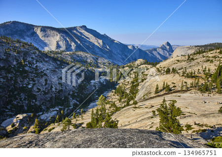 Yosemite Granite Slopes Pine Trees and Half Dome from Olmsted Point California 134965751