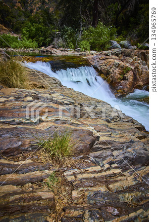Waterfall and Rocky Riverbank with Lush Greenery in Sunlit Sequoia National Park 134965769