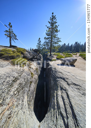 Taft Point Fissure Granite Cliffs and Pine Trees Under Bright Blue Sky Yosemite Taft Point Fissure Granite Cliffs and Pine Trees Under Bright Blue Sky Yosemite 134965777