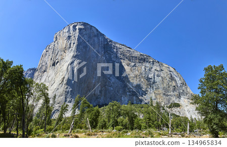 El Capitan Granite Cliff and Forest Panorama in Yosemite National Park California El Capitan Granite Cliff and Forest Panorama in Yosemite National Park California 134965834