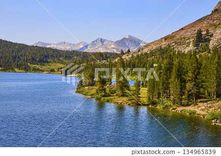 Tioga Lake Blue Water Pine Forest and Granite Mountain Landscape California 134965839