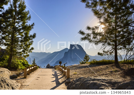 Half Dome and Sunburst Through Pine Trees at Glacier Point Yosemite National Park 134965843