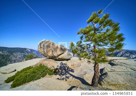 Taft Point Boulder and Pine Tree with Granite Cliffs under Clear Blue Sky Taft Point Boulder and Pine Tree with Granite Cliffs under Clear Blue Sky 134965851