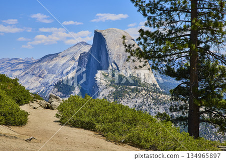 Half Dome and Pine Trees Framed by Scenic Trail at Glacier Point Yosemite Half Dome and Pine Trees Framed by Scenic Trail at Glacier Point Yosemite 134965897