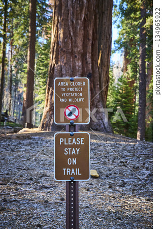 Trail Sign in Sequoia Forest with Conservation Message and Towering Trees 134965922