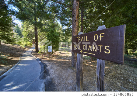 Trail Of 100 Giants Sign Forest Path And Sequoia National Forest Trees Trail Of 100 Giants Sign Forest Path And Sequoia National Forest Trees 134965985