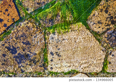 Close Up River Rocks and Green Algae with Flowing Water Texture Close Up River Rocks and Green Algae with Flowing Water Texture 134966005
