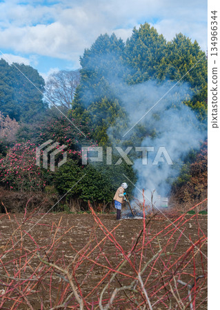 田間焚燒 134966344