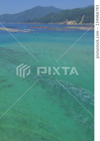 高知縣柏島市柏島漁港景色 高知縣柏島市柏島漁港景色 134966765