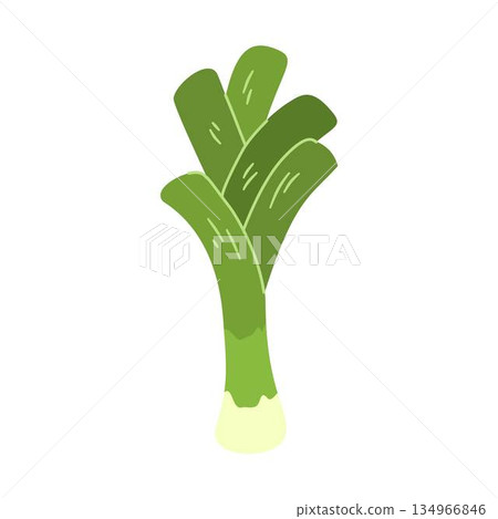 Fresh Leek Vegetable, daun bawang 134966846