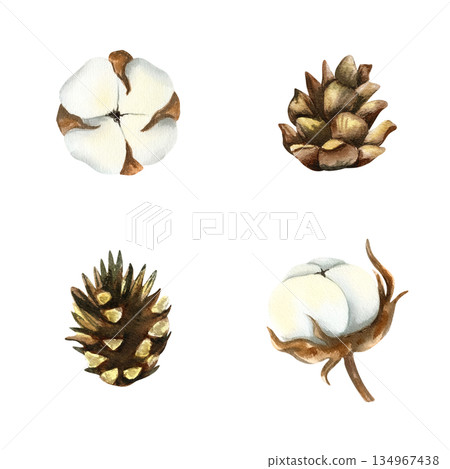 Spruce branch. Evergreen pine branch. Watercolor clip art illustration isolated from background. Hand drawn painted fir tree twig, coniferous plant, needles for Christmas or winter decoration, design 134967438