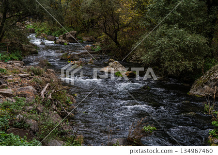 Dashbashi canyon in Georgia in autumn Dashbashi canyon in Georgia in autumn 134967460