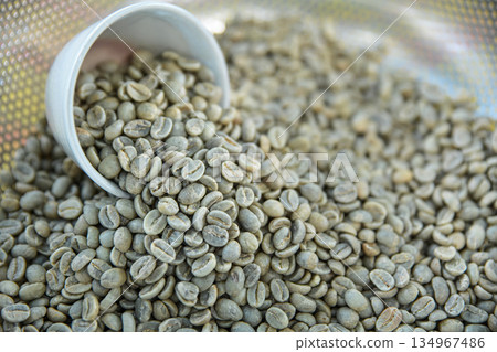 Green bean coffee checking before roast in home cafe 134967486