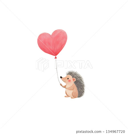 刺蝟拿著心形氣球 134967720