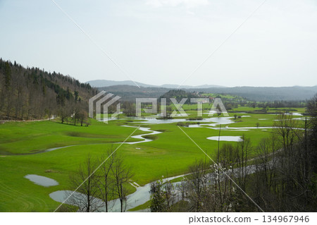 斯洛維尼亞_雅科維察濕地 134967946