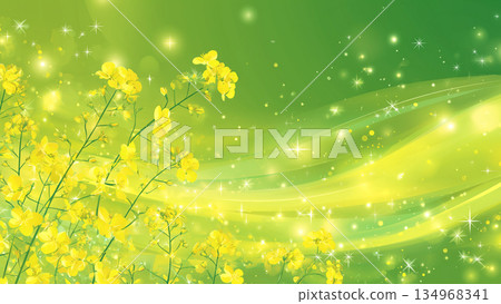 黃色油菜花田背景，流動的光線 134968341