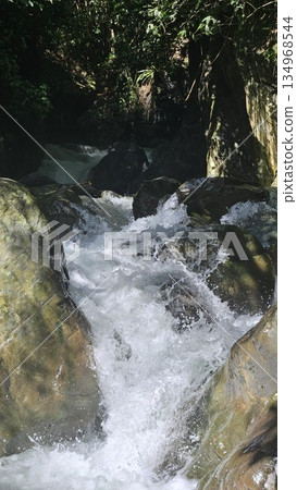 A rapid river with strong currents flows over and around large rocks, creating white water and a small cascade, surrounded by a green, natural landscape. A rapid river with strong currents flows over and around large rocks, creating white water and a small cascade, surrounded by a green, natural landscape. 134968544