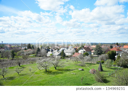 Hungary_Borg Castle 134969231
