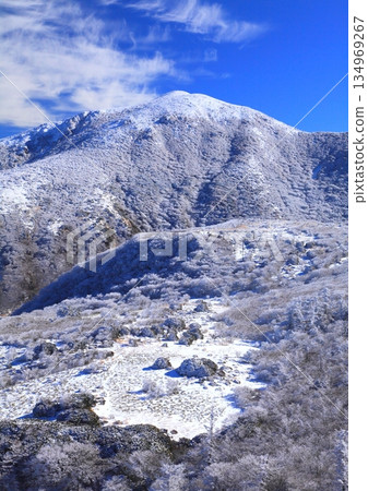 九重山的冬天（大分縣九重町寶翔山，垂直構圖） 134969267