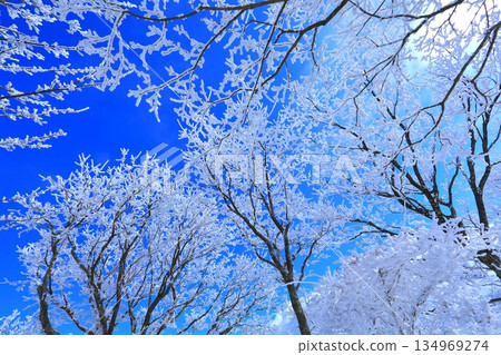 Hoarfrost and blue sky (winter image background material) 134969274