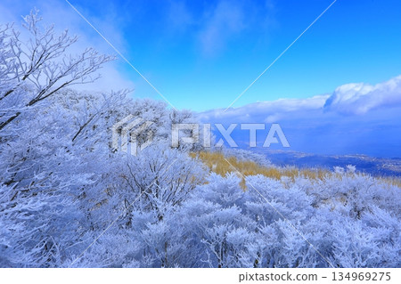 鶴見山霜凍和別府市 鶴見山霜凍和別府市 134969275