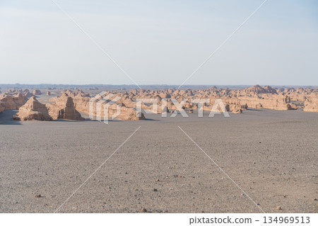 Dunhuang Yardang National Geological Park 134969513