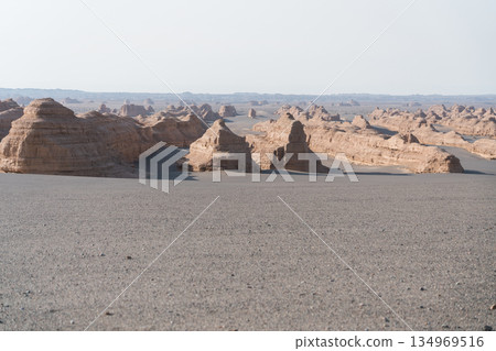 敦煌雅丹國家地質公園 134969516