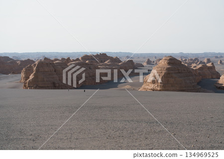 敦煌雅丹國家地質公園 134969525