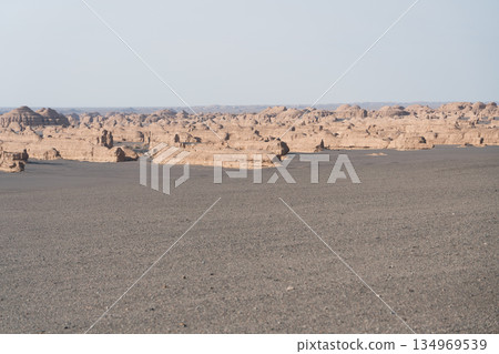 敦煌雅丹國家地質公園 敦煌雅丹國家地質公園 134969539