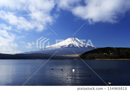 十二月，山中湖畔（地點：山中湖畔） 134969818