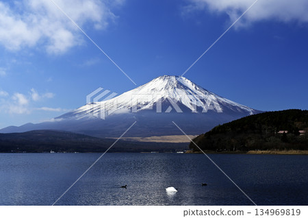 December, Lake Yamanaka Shore (Location: Lake Yamanaka Shore) 134969819