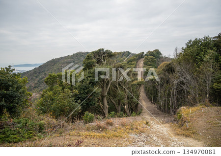 日本兵庫縣赤穗市大高台山的絕美景色 日本兵庫縣赤穗市大高台山的絕美景色 134970081