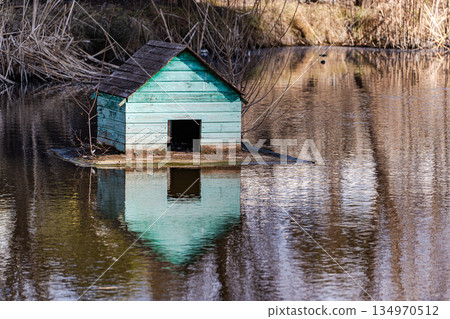 Floating duck house on the lake 134970512