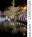 Ryusenji Temple - Night illumination 134970589