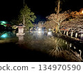 Ryusenji Temple Pond Illumination 134970590