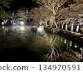 Ryusenji Temple Pond Illumination 134970591