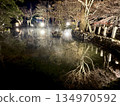 Ryusenji Temple Pond Illumination 134970592