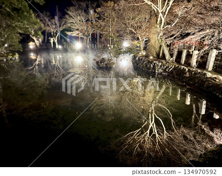 龍泉寺池塘燈光秀 龍泉寺池塘燈光秀 134970592