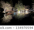 Ryusenji Temple Pond Illumination 134970594